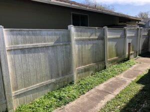 Fence Pressure Washing Bay to Bay Exterior Cleaners