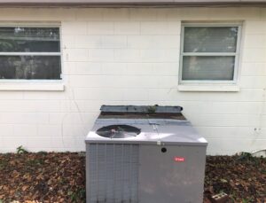 House Pressure Washing Bay to Bay Exterior Cleaners
