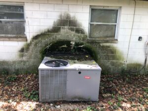 House Pressure Washing Bay to Bay Exterior Cleaners