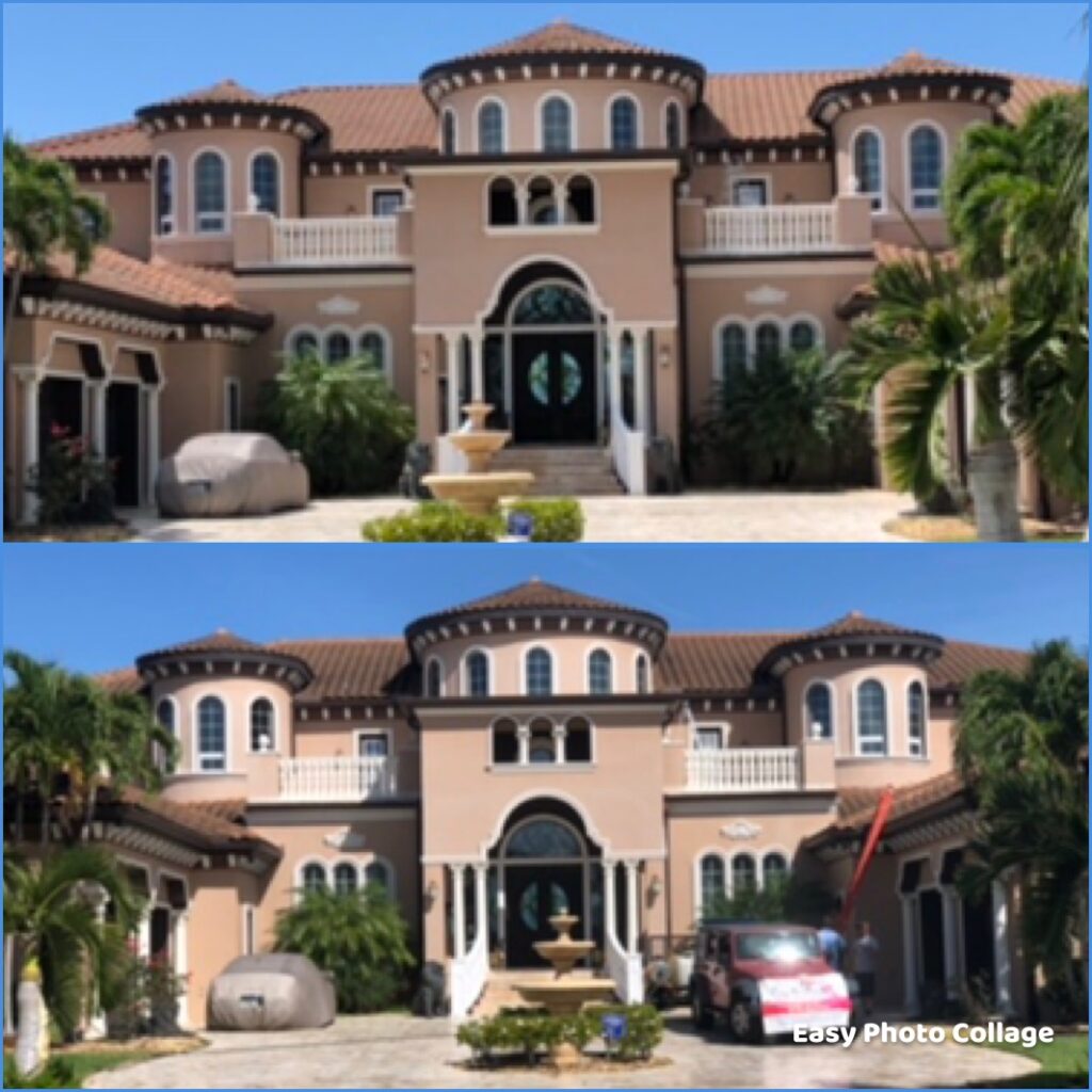 Tampa Tile Roof Cleaning
