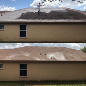 Shingle Roof Cleaning Bay to Bay Exterior Cleaners 2022