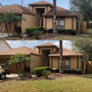 Shingle Roof Cleaning Bay to Bay Exterior Cleaners 2023